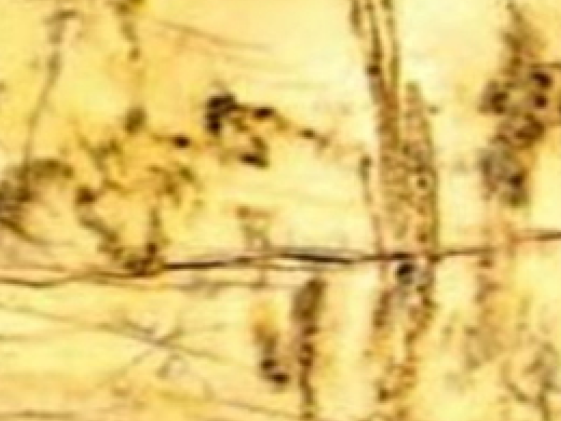 Spain marbles-img-05