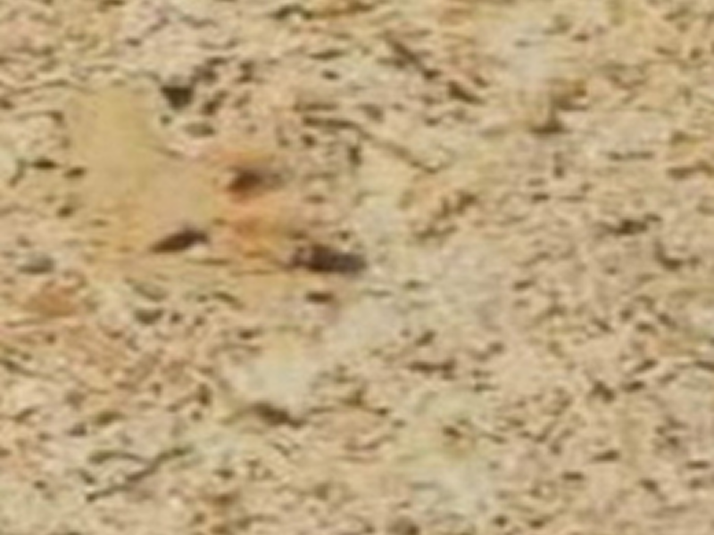 Spain marbles-img-06