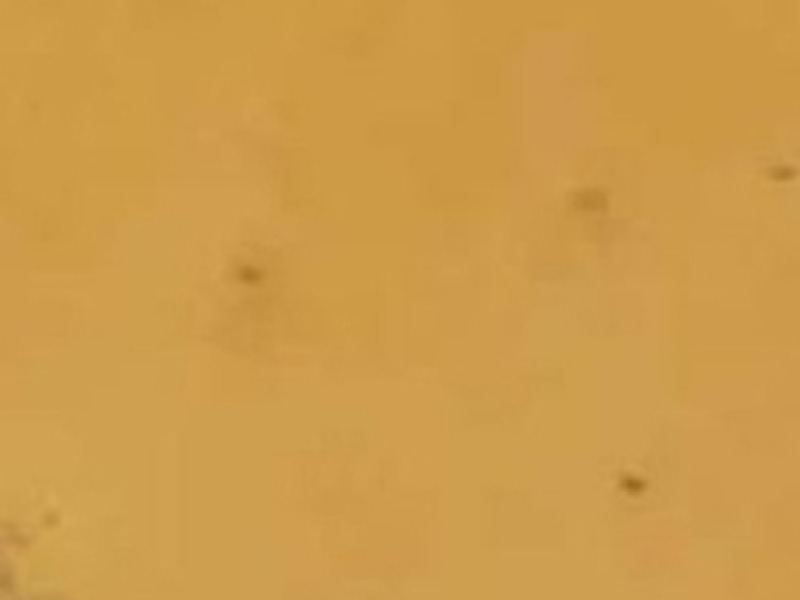 Spain marbles-img-07